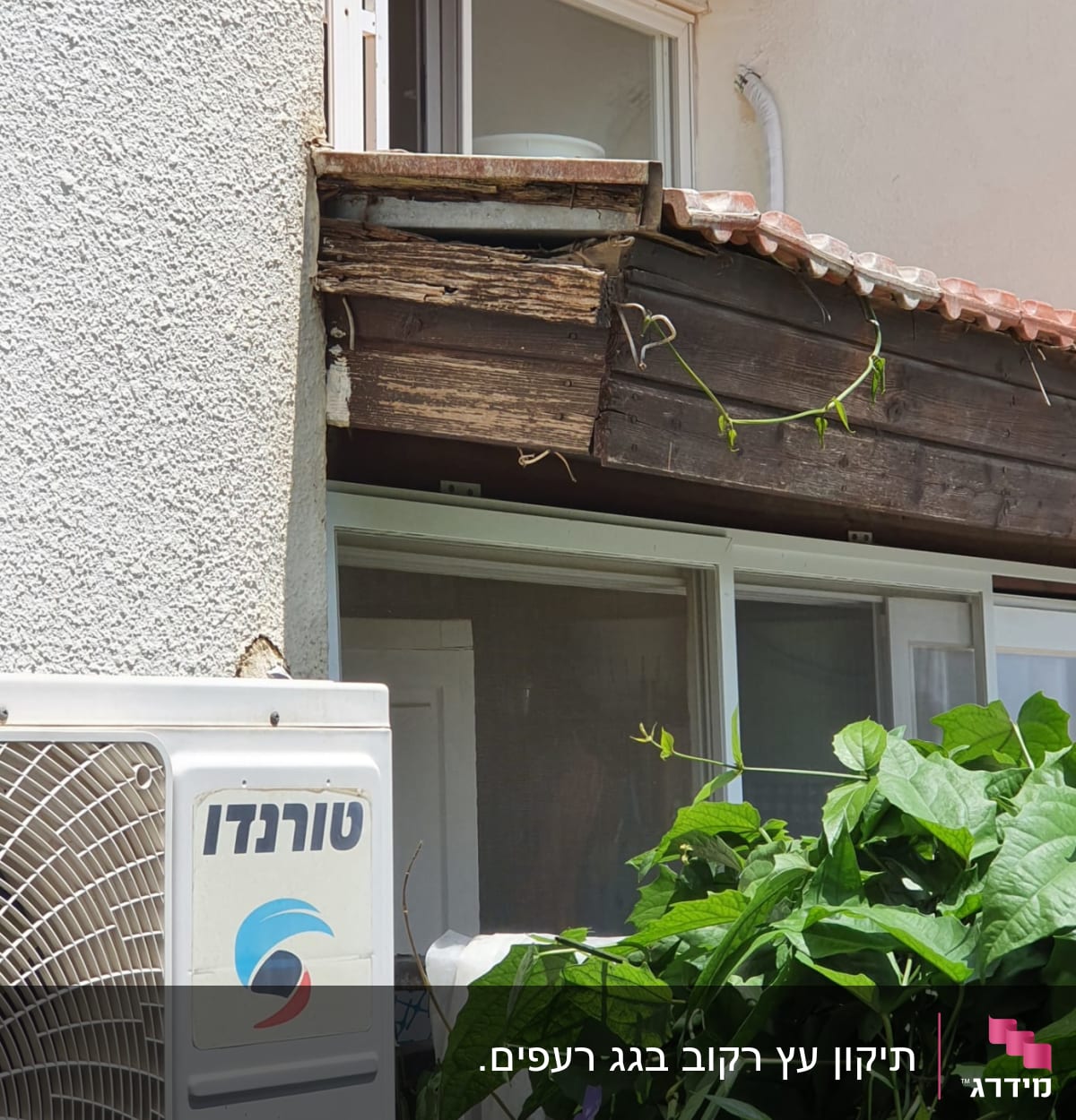 גג רעפים עם עץ חשוף וצמח מטפס